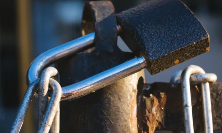 Zero Trust for MSPs: Boost Security & Client Confidence